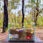 Winner Junior Youth Award (under 11 years old): #30. 'The Land of Lost Things' by Dempsey Hunter