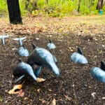 Open Judges Award - Runner Up: #31. 'Pod' by Dave Taylor