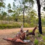 People's Choice Award - Runner Up: #55. 'Sea Shepherd' by Mitchell James Thompson