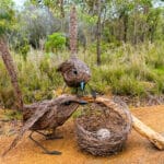 Overall Winner + People's Choice Winner: #66. "Small is Beautiful" by Kevin Judd from Porongurup